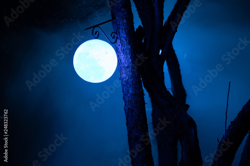 Foggy night yard with bright light on background. lantern hanging on the tree