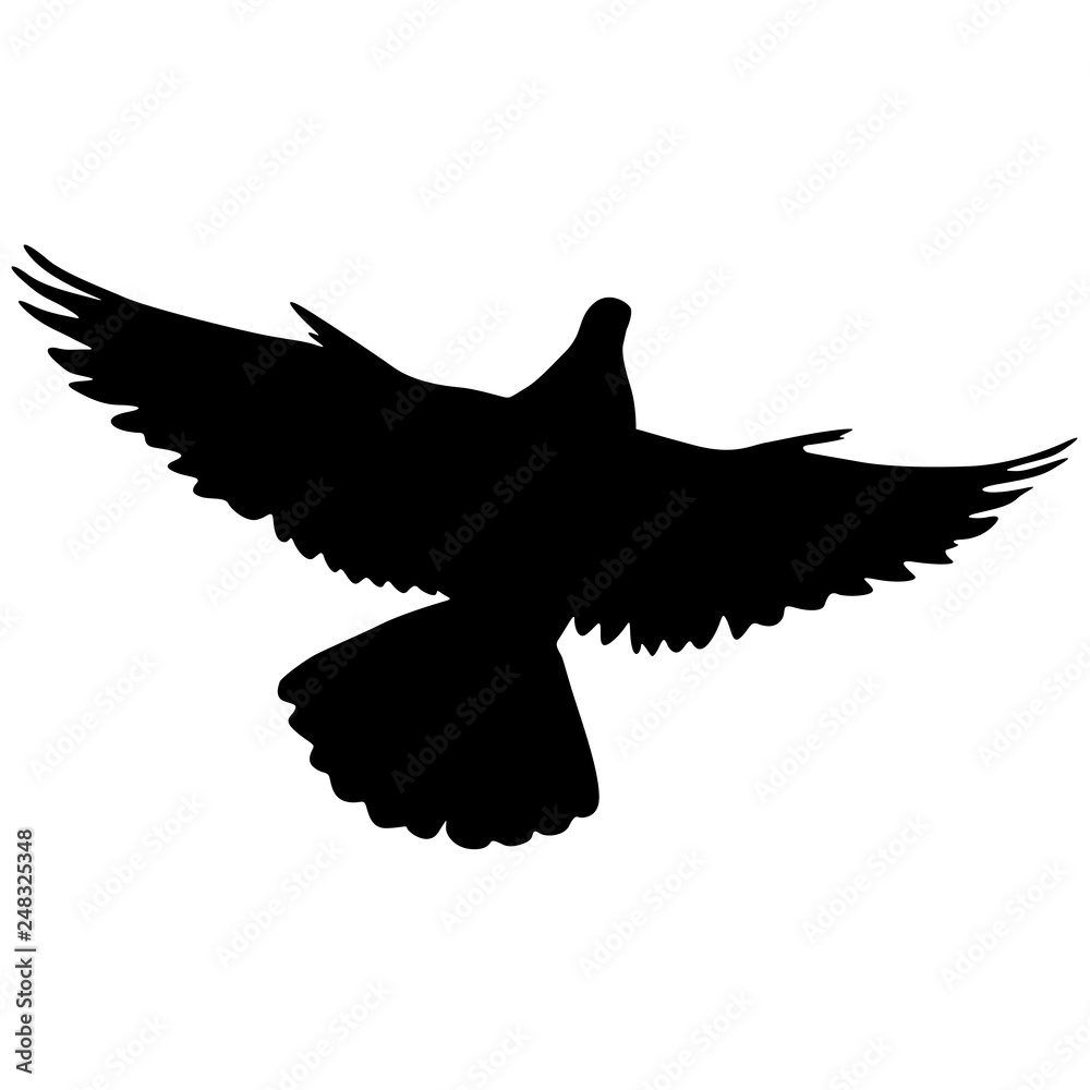 Concept of love or peace silhouettes doves Concept of love or peace silhouettes doves