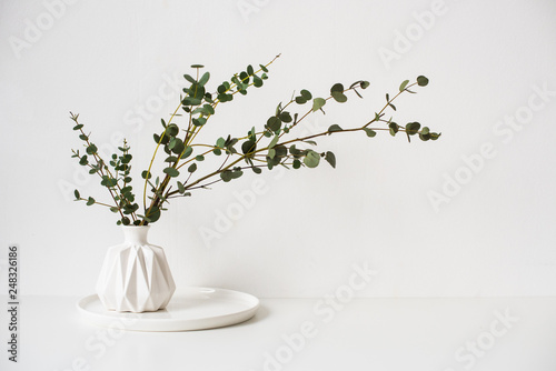 Eucalyptus branches in white ceramic vase on empty wall background