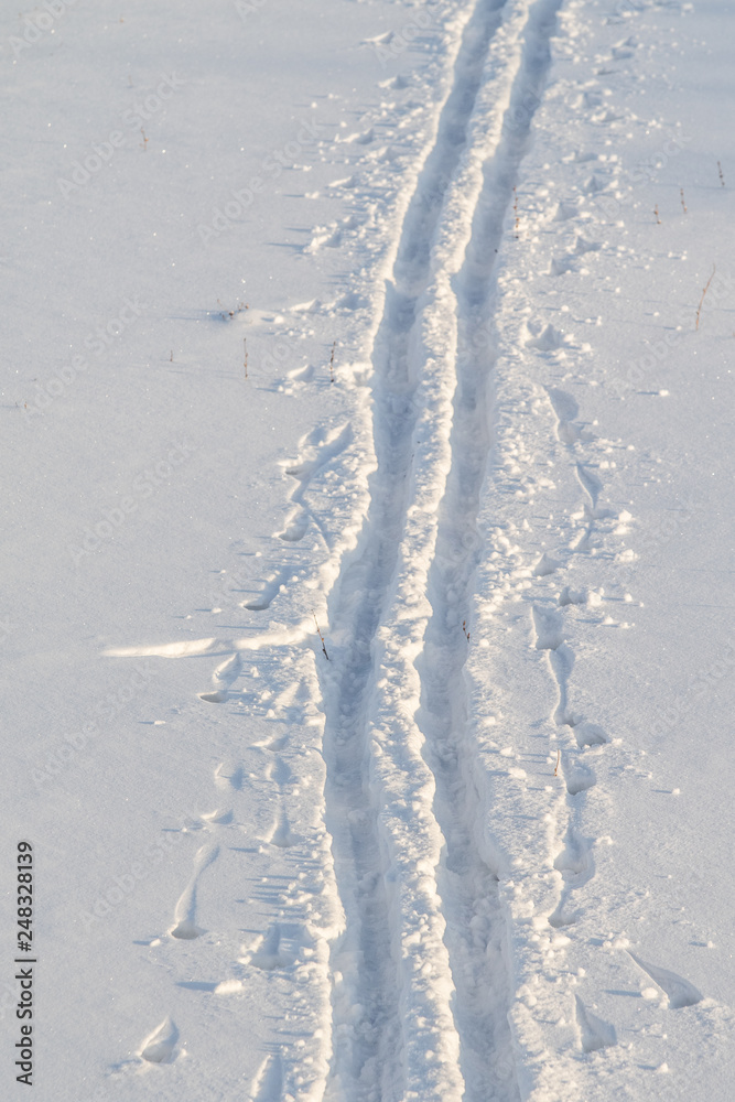 trail from skis on snow, winter trail from skis on snow, winter