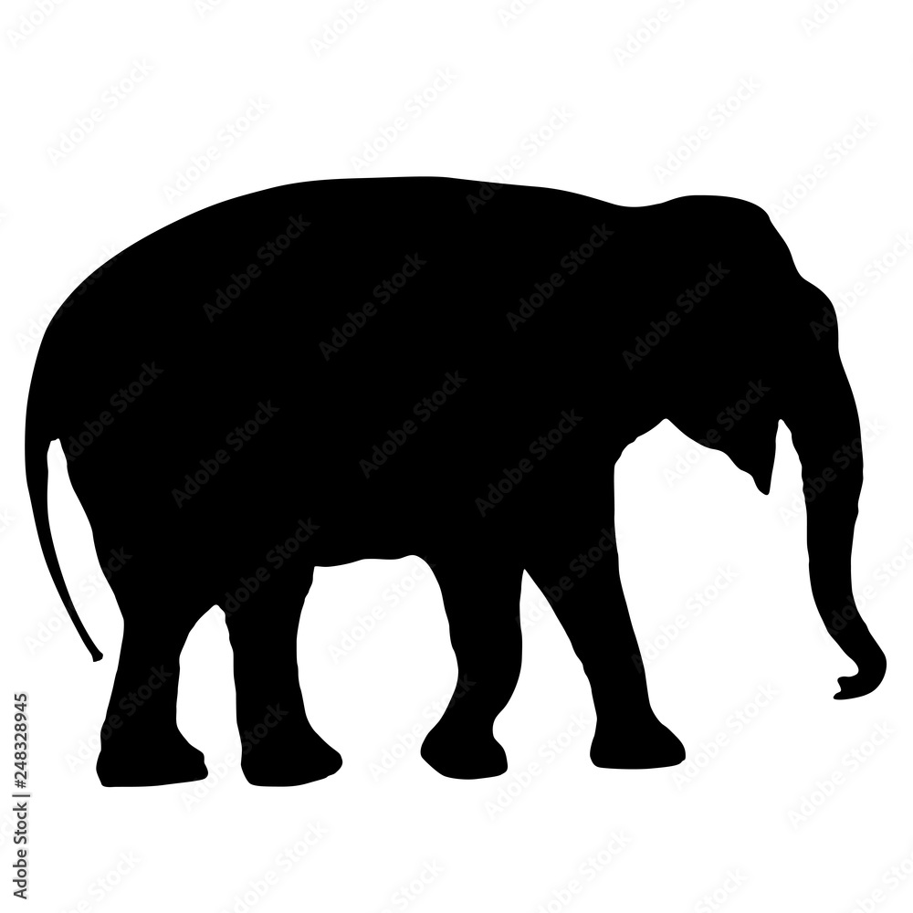 Silhouette large African elephant on a white background Silhouette large African elephant on a white background