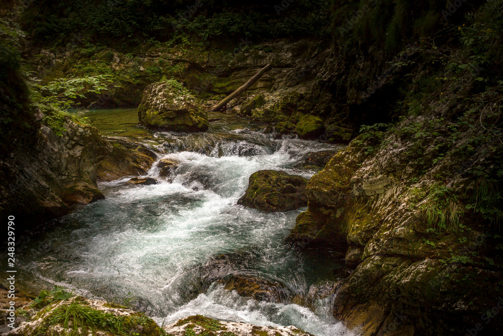 Gole del Vintgar, Slovenia Gole del Vintgar, Slovenia