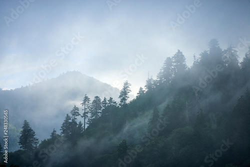 Misty mountains in Smokey mountains  © vanhurck