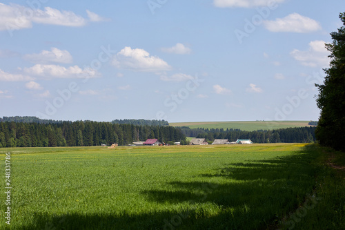 Russia. View of the village. Summer rural landscape with houses