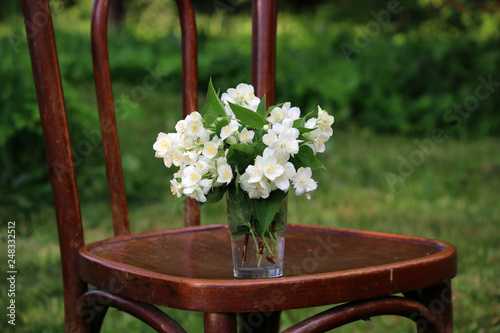 White flowers on the vintage chair in the spring garden.