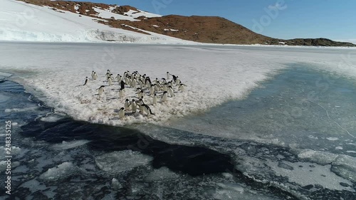 antarctica penguins from the air