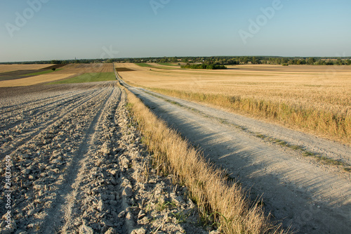 Very long gravel road through mown and plowed fields  horizon and blue sky