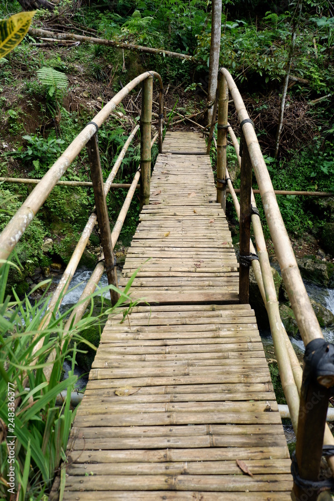 Obraz premium a bridge from bamboo to cross a small river in the park