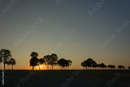 Sunset behind trees and cloudless evening sky