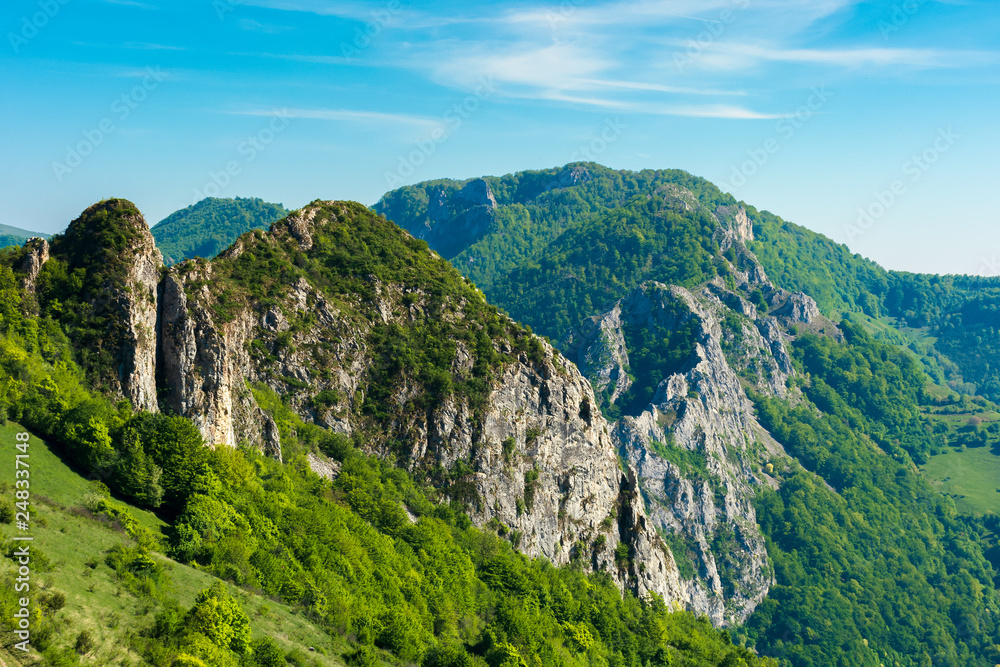 beautiful landscape of romania mountains. forested hills and huge cliffs of canyon. wonderful nature scenery. sunny weather in springtime