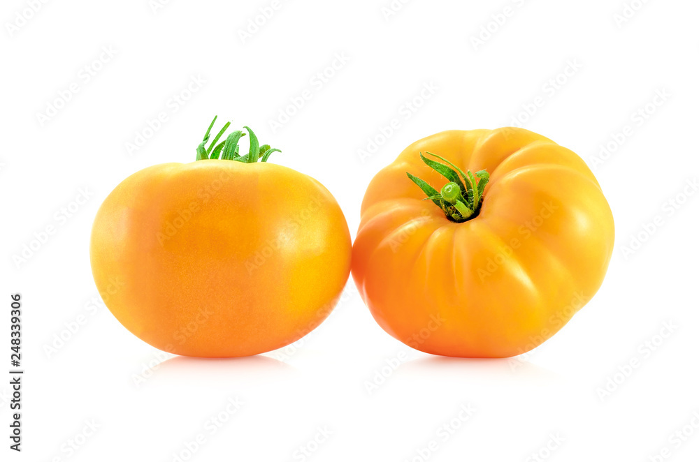 tomato on white background tomato on white background