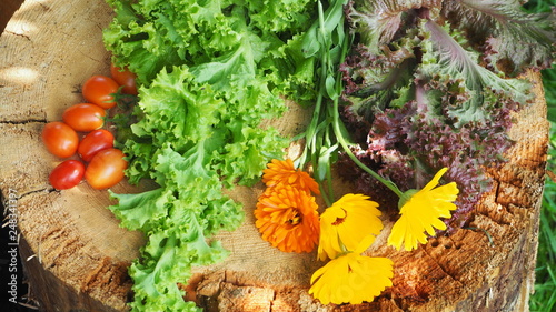 Salad and flowers from the garden