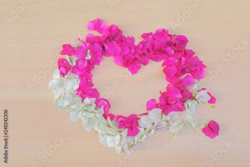 Top view of red and white petals paper flowers (Bougainvillea glabra flowers) design shape heart valentine concept with copy space on wood texture background.