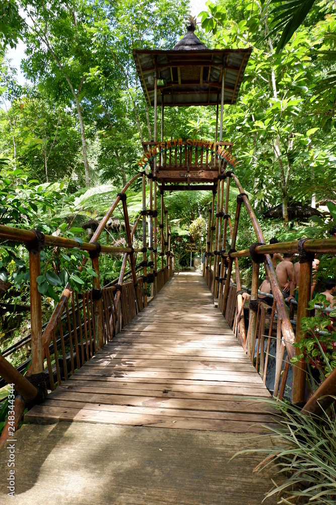 a bridge from bamboo to cross a small river in the park a bridge from bamboo to cross a small river in the park
