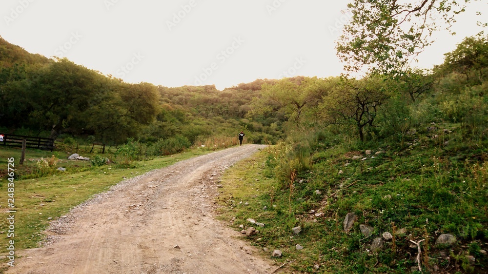 Obraz premium Dirt road