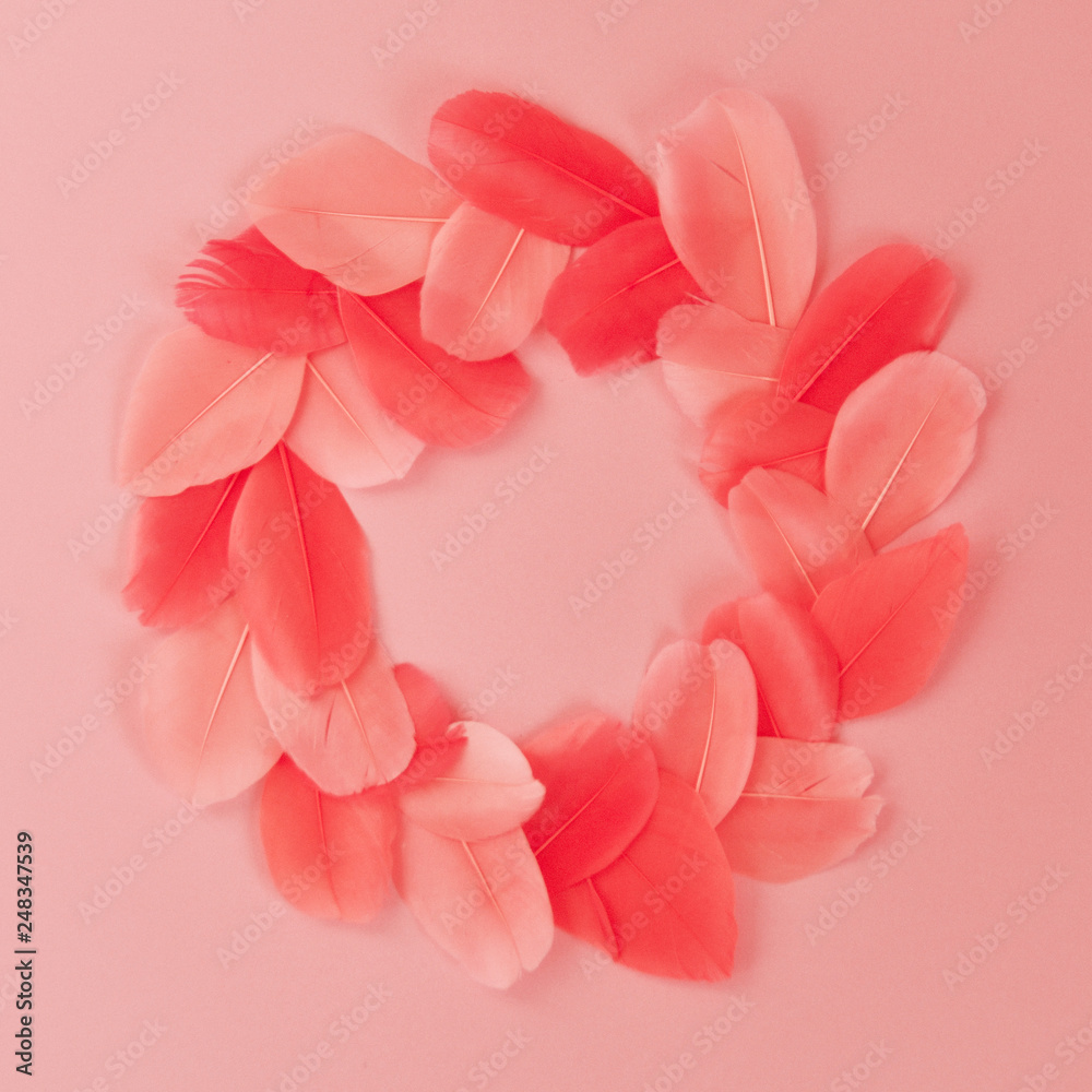 Beautiful wreath made of Real feathers trend color living coral on pink background closeup. Color of the year 2019 Beautiful wreath made of Real feathers trend color living coral on pink background closeup. Color of the year 2019