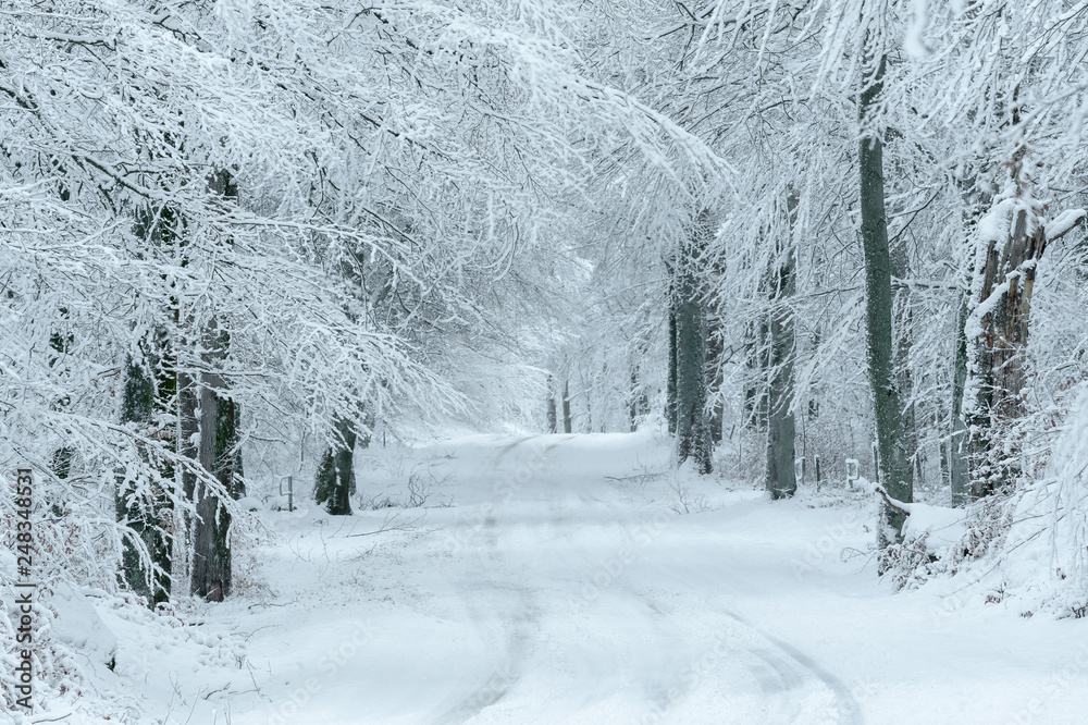 Scandinavian Winter Landscape Scandinavian Winter Landscape