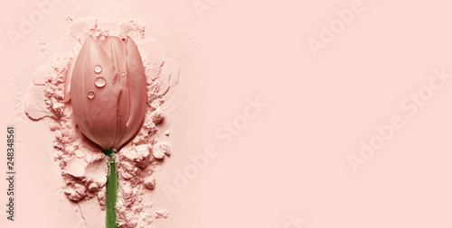 Fotografie beautiful pink tulip lying on a pink powder.