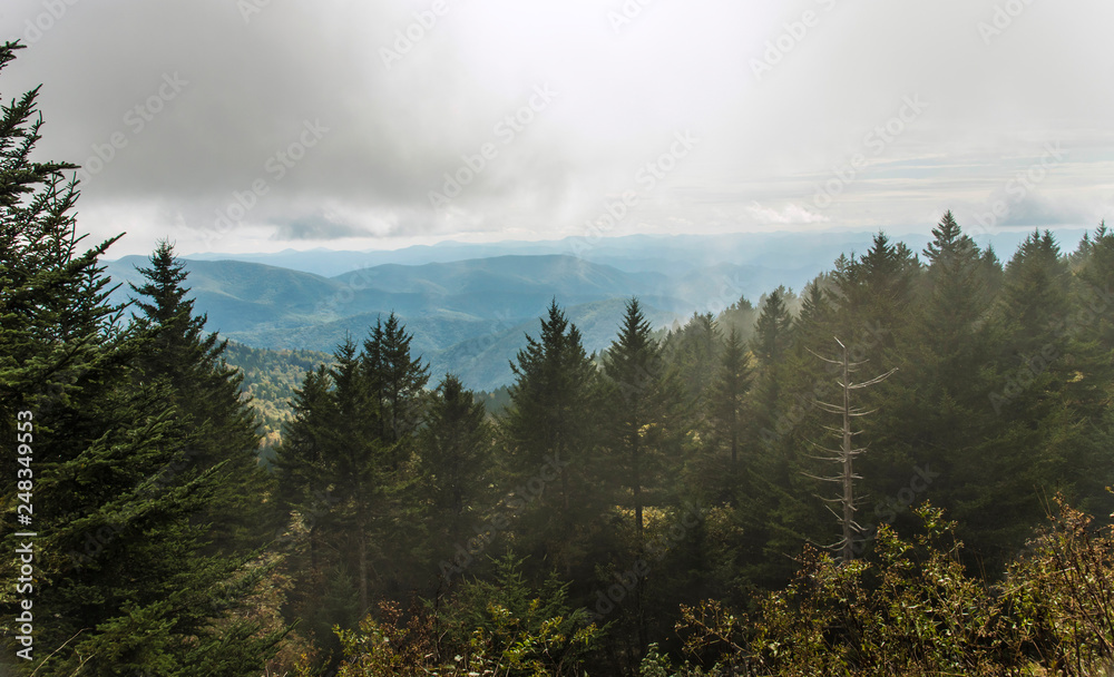 Blue Ridge Parkway - Richland Balsam Overlook Foggy Blue Ridge Parkway - Richland Balsam Overlook Foggy