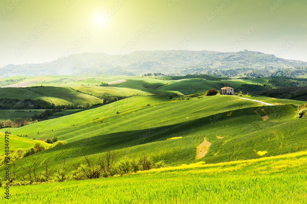 Beautiful summer landscapes in Tuscany, Italy.