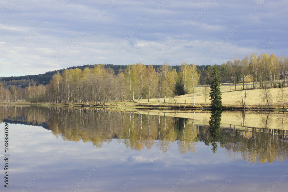 View of a lake and forest