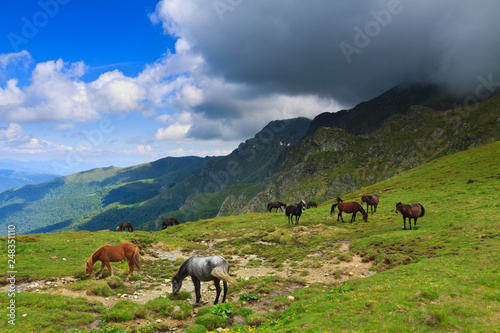 Horses in mountains with dramatic sky, Stara Planina, Central Balkan, Bulgaria