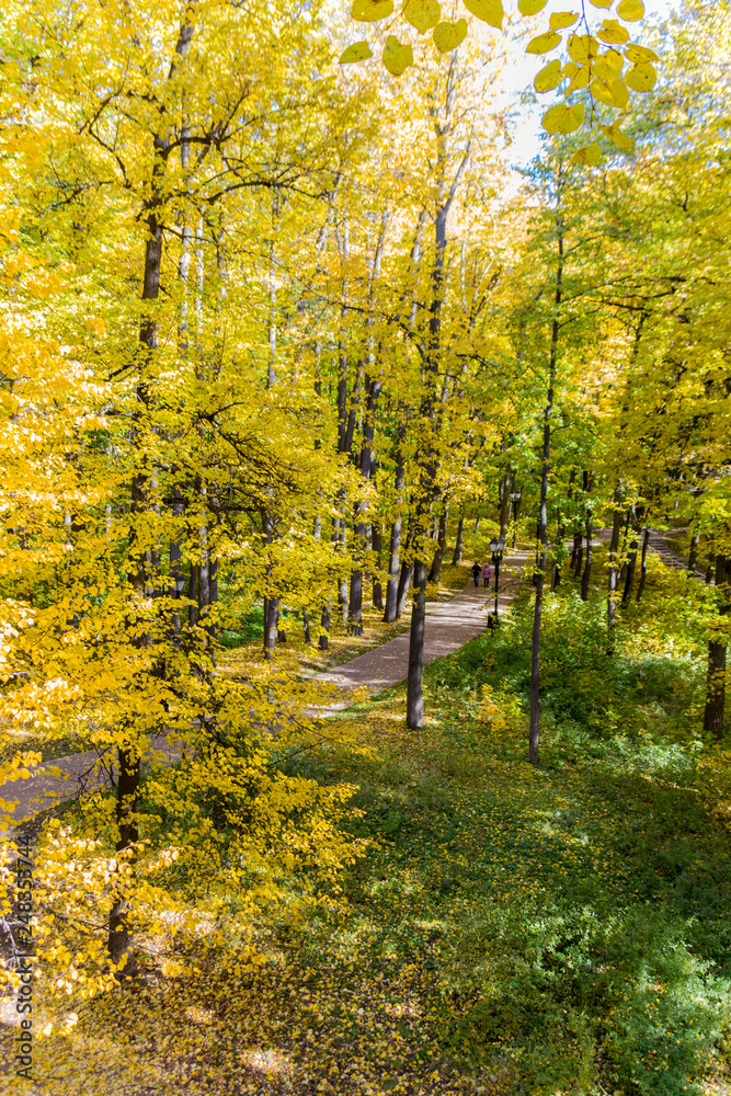 Autumn trees  in Tsaritsyno park