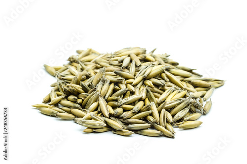 Pile of millet grains with peel isolated on white background