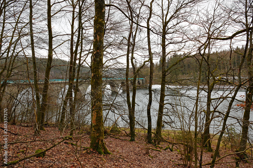 Versetalsperre bei Lüdenscheid Blick durch Bäume Versetalsperre bei Lüdenscheid Blick durch Bäume