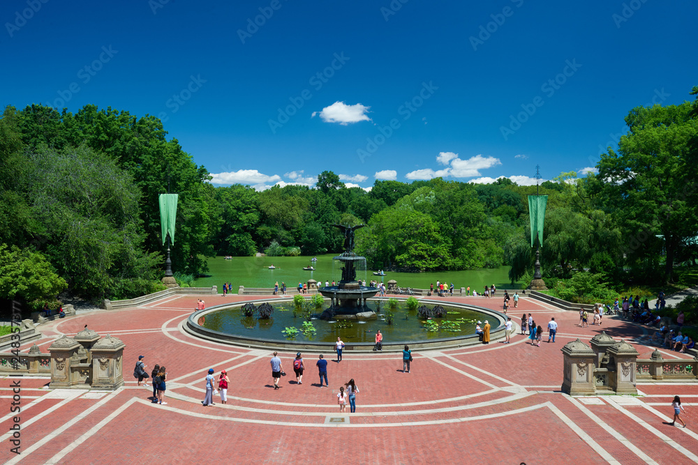 Obraz premium View of New York sky line from Central Park