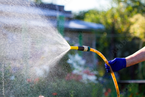 Watering plants in a garden of hose