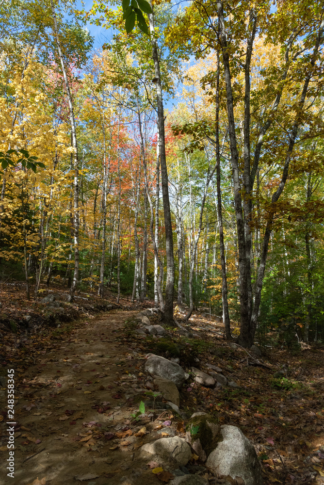 Fototapeta premium Hiking in Acadia