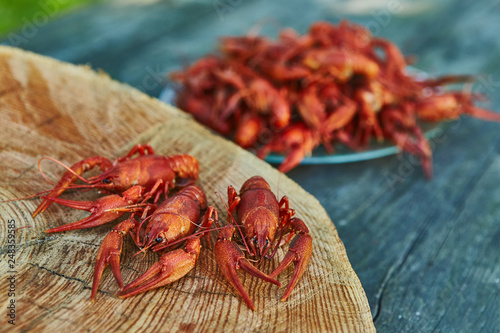 Crawfish cooked and served on wooden background photo