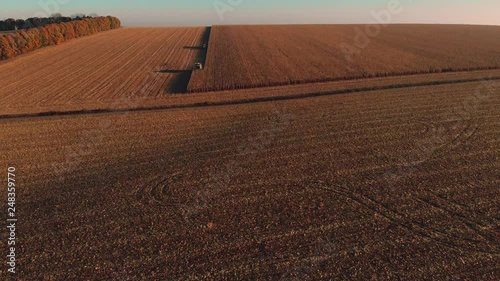 Aerial fly above autumn countryside field where the combine harvests at sunrise - sunset, 4K