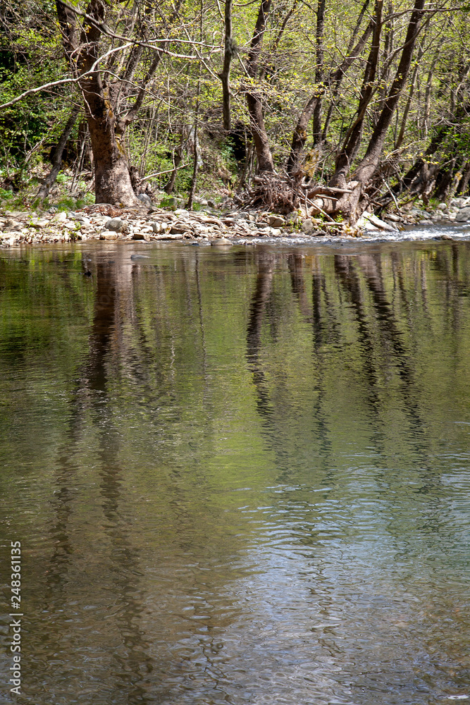 Stream in Ida Mountain, Beautiful nature. Turkey. Stream in Ida Mountain, Beautiful nature. Turkey.
