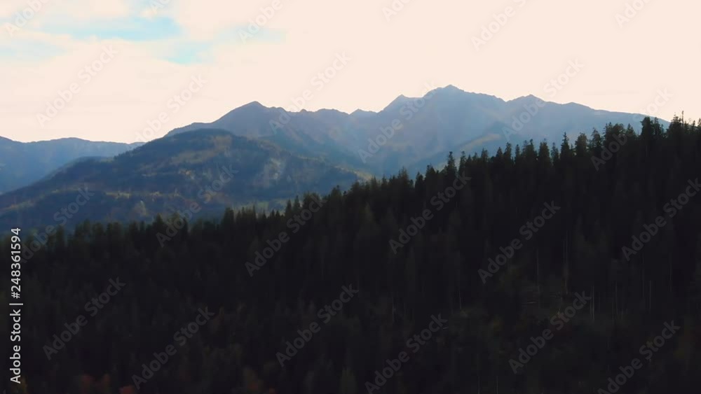 Aerial fly above the forest on Switzerland Alps at sunset, 4K