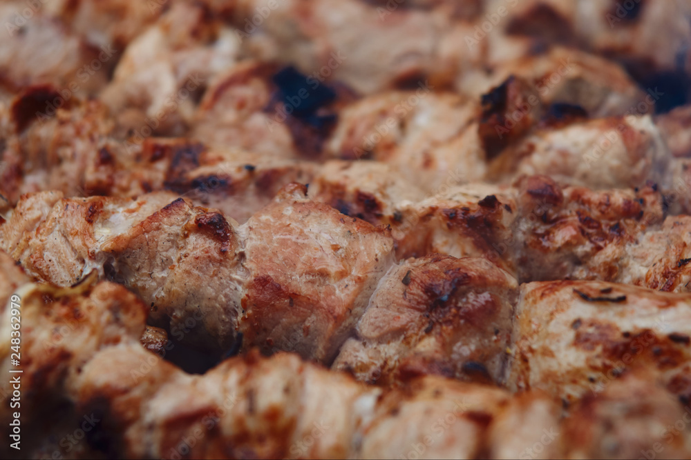 grilled pork shashlik