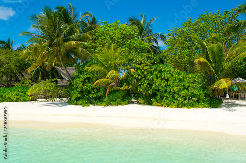 Fototapeta Naklejka Na Ścianę i Meble -  Beautiful sandy beach with sunbeds and umbrellas in Indian ocean, Maldives island