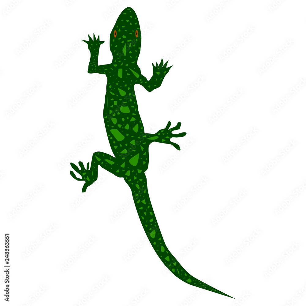 Fototapeta premium The little green lizard is walking. cartoon lizard eps10
