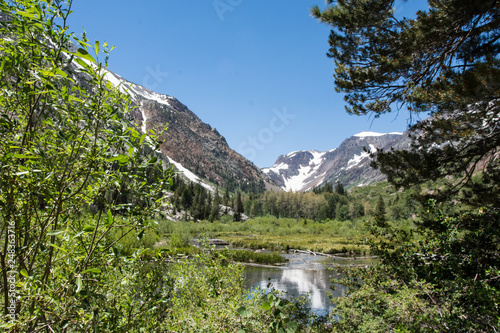 Beaver pond in Lundy Canyon in the Eastern Sierra Nevada Mountains of California