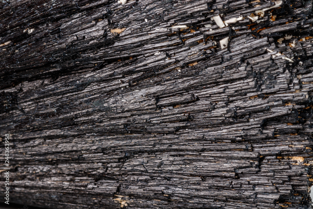 Macro mineral stone Schorl, Black Tourmaline on a white background Macro mineral stone Schorl, Black Tourmaline on a white background