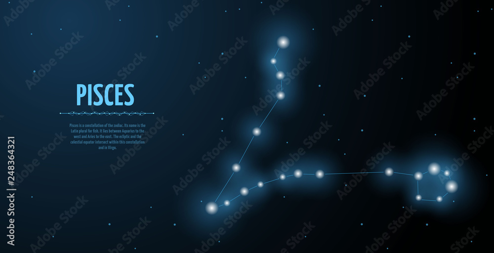 Pisces zodiac constellation vector sign with silhouette. Poster design with place for text Pisces zodiac constellation vector sign with silhouette. Poster design with place for text