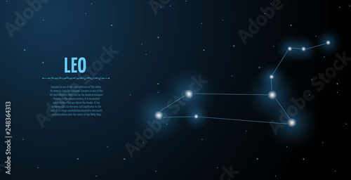 Leo zodiac constellation vector sign with silhouette. Poster design with place for text