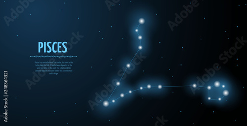 Pisces zodiac constellation vector sign with silhouette. Poster design with place for text
