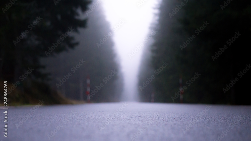 Out of focus road cutting through misty forest