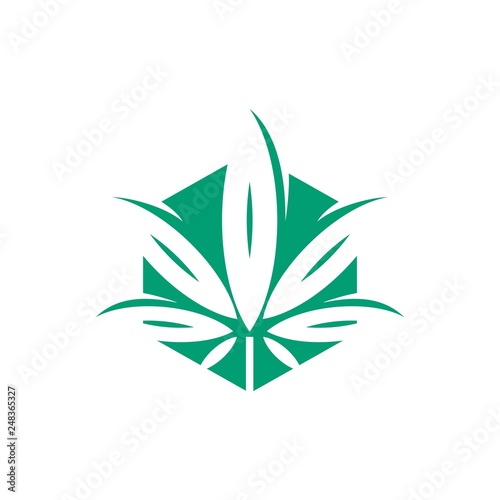 Cannabis leaf green natural logo design