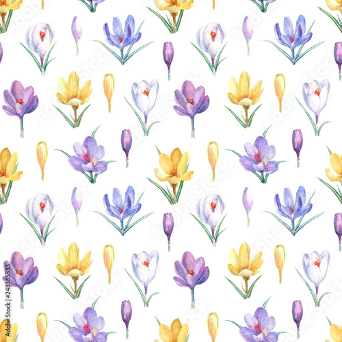 Watercolor seamless pattern with yellow, violet and white crocuses on white background.