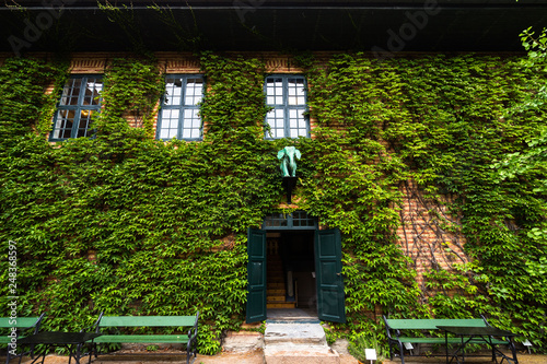 Scenic house facade covered by green ivy at Norsk Folkemuseum (Norwegian Museum of Cultural History), Oslo, Norway photo