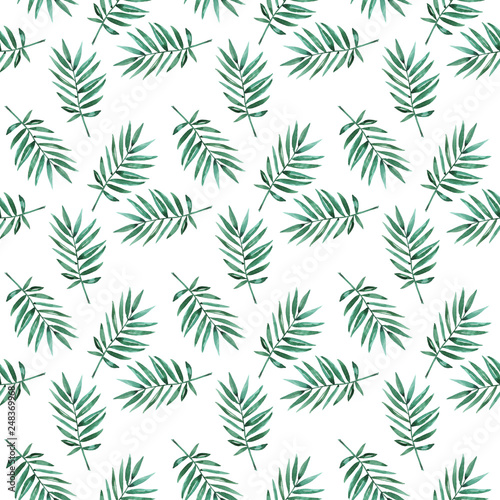 Watercolor hand painted exotic summer botany leaves illustration seamless pattern on white background