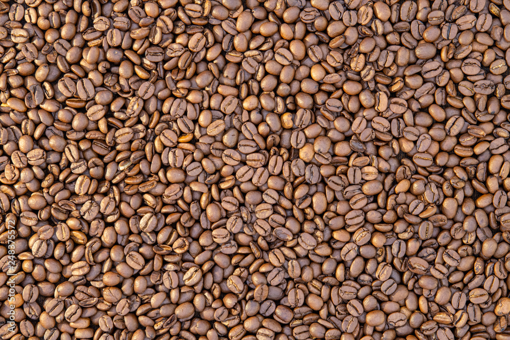 Roasted coffee beans Roasted coffee beans